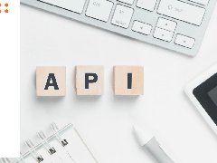 APP開(kāi)發(fā)之API介紹